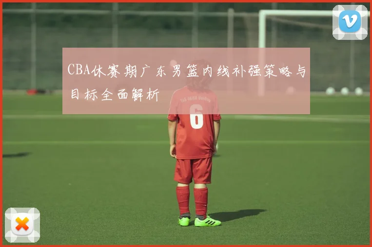 CBA休赛期广东男篮内线补强策略与目标全面解析